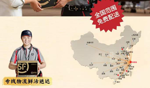   顺丰空运(图1)